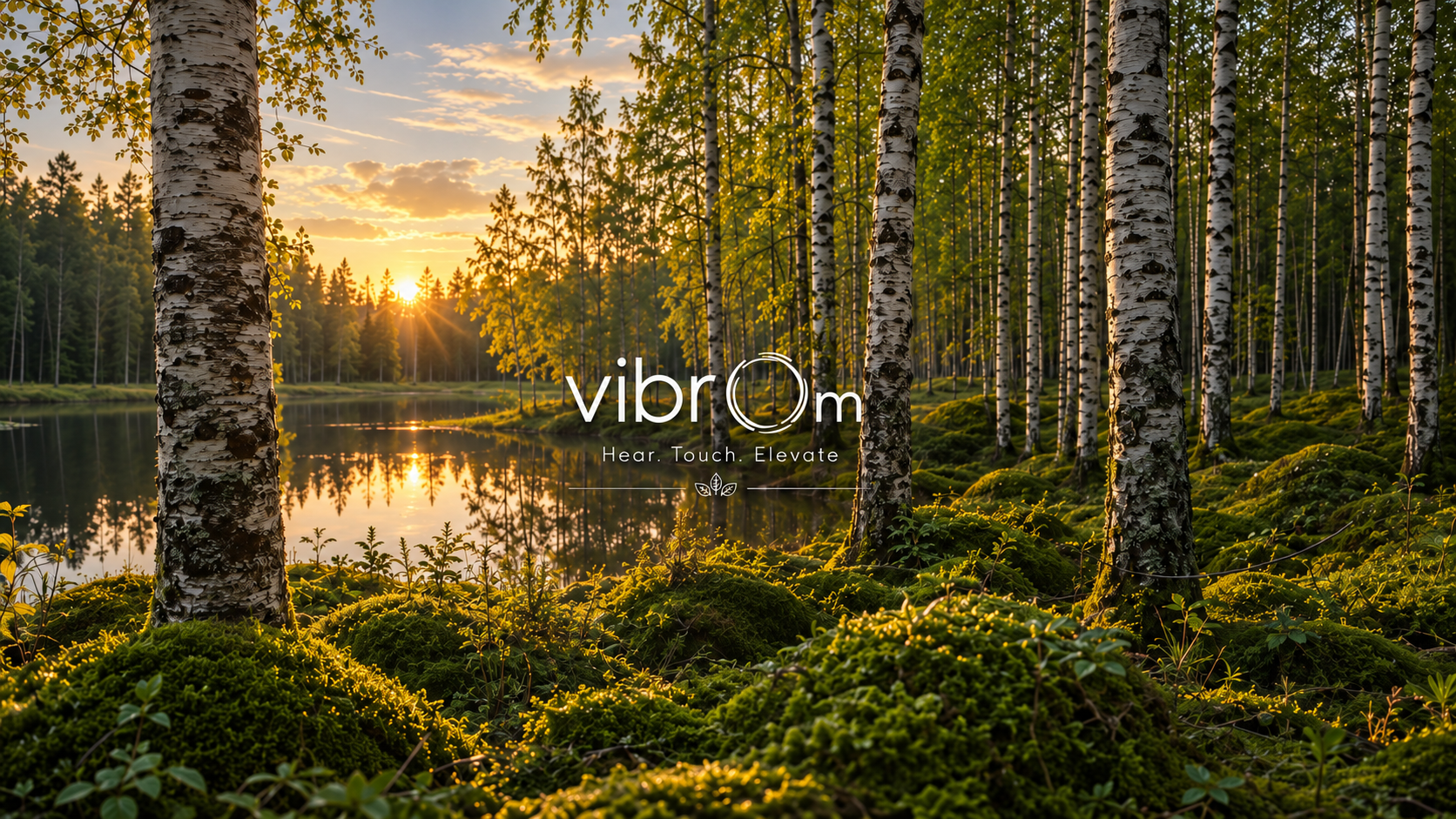 VibrOm — Hear. Touch. Elevate